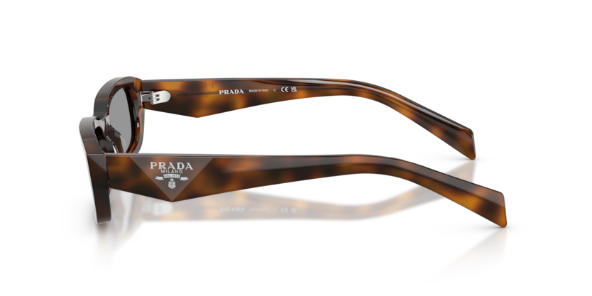 PR B06S