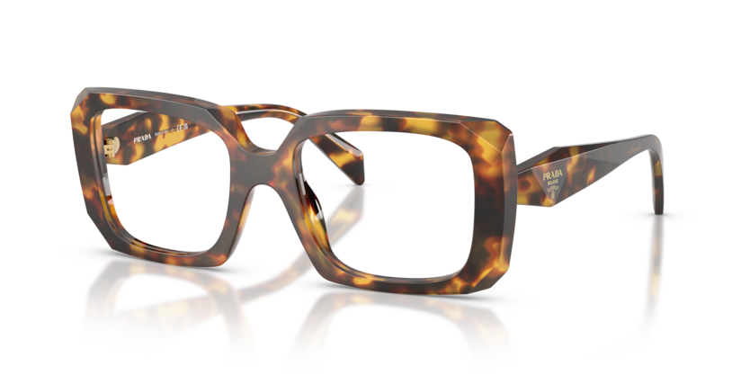 PR C09V