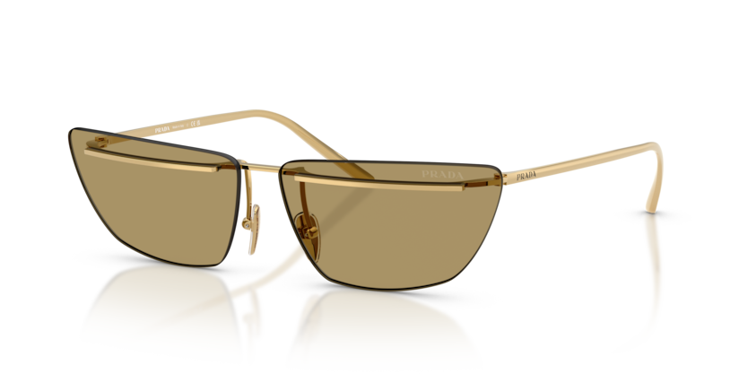 PR C52S