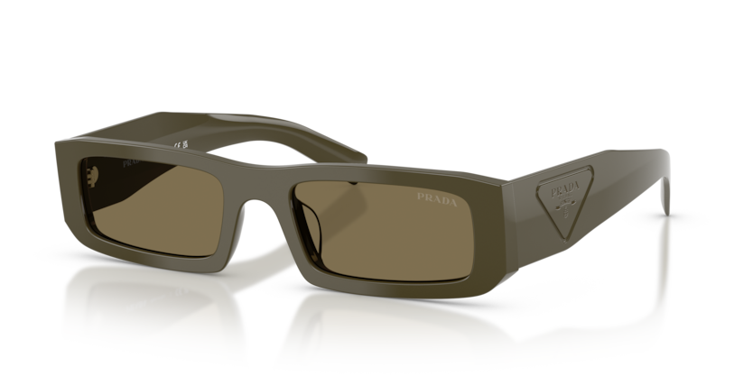 PR D09SD
