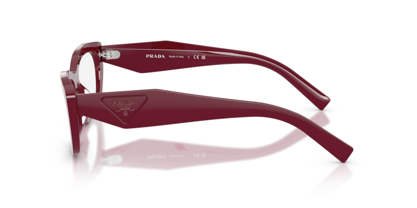 PR D09V