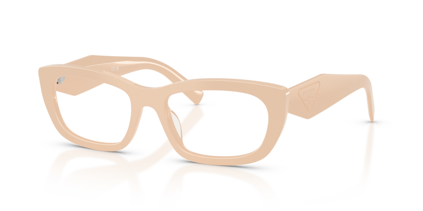 PR D09V