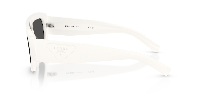 PR D10S