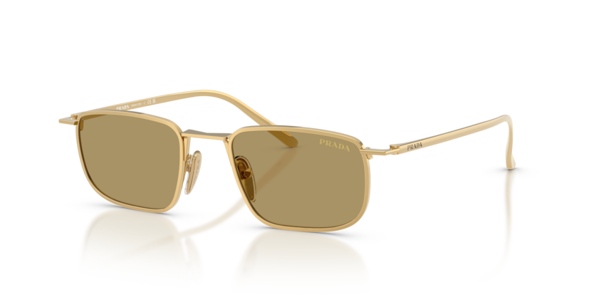 PR D52S