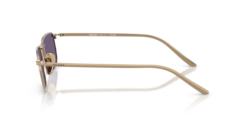 PR D52S