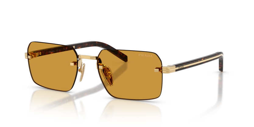 PR D55S