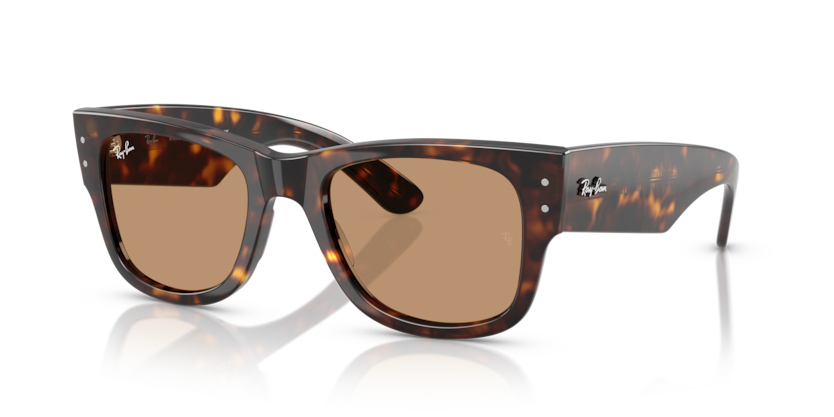 RB0840SF - MEGA WAYFARER