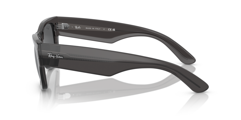 RB0840S - MEGA WAYFARER