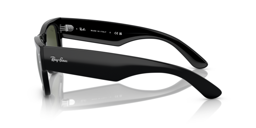 RB0840S - MEGA WAYFARER