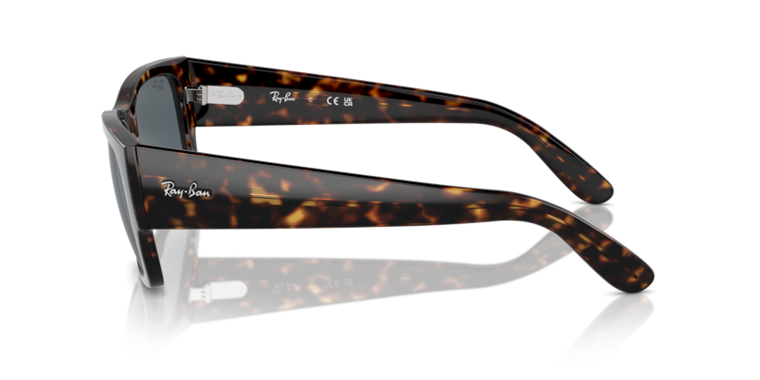 RB0947S - CARLOS