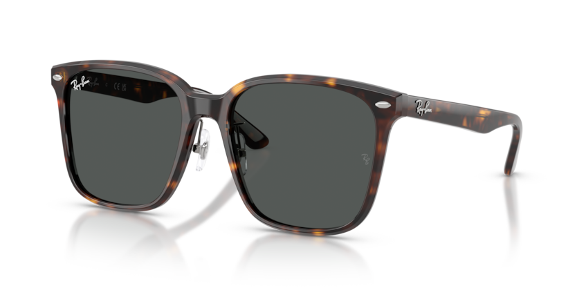 Ray-Ban RB2206D Sunglasses | Select Eyewear