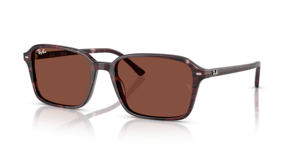 Ray-Ban RB2231F - RAIMOND Sunglasses | Select Eyewear