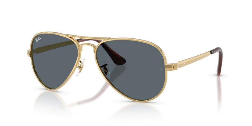 RB3925 - AVIATOR MAX