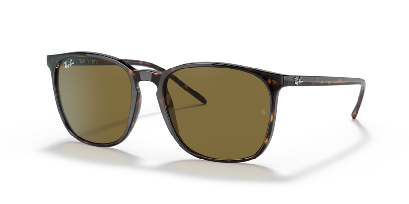Ray-Ban RB4387F Sunglasses | Select Eyewear
