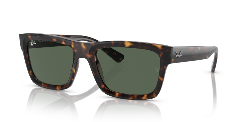 Ray-Ban RB4396 - WARREN Sunglasses | Select Eyewear