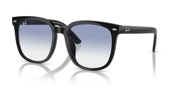 Ray-Ban RB4401D Sunglasses | Select Eyewear