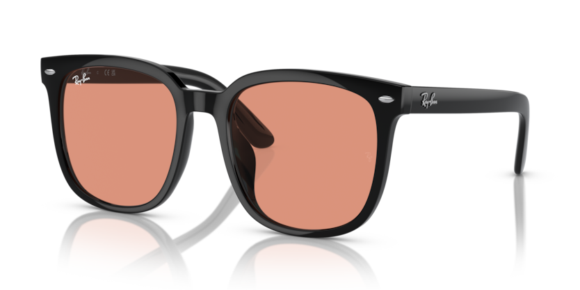 Ray-Ban RB4401D Sunglasses | Select Eyewear