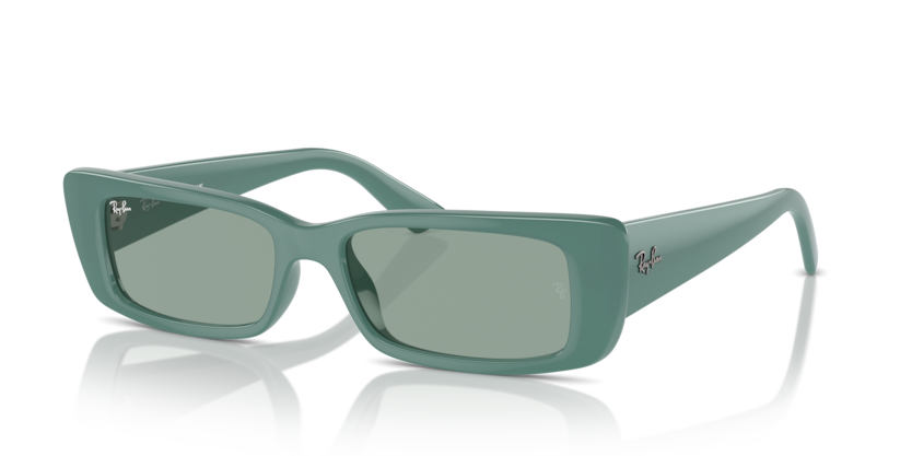 Ray-Ban RB4425F - TERU Sunglasses | Select Eyewear