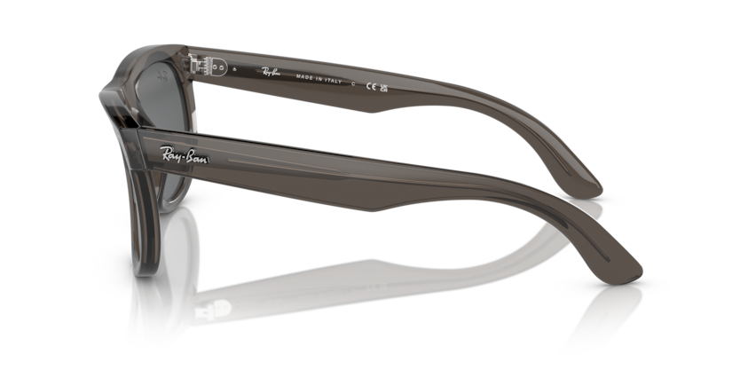 RBR0502SF - WAYFARER REVERSE