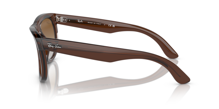 RBR0502S - WAYFARER REVERSE