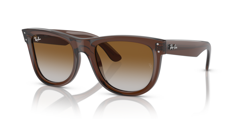 RBR0502S - WAYFARER REVERSE
