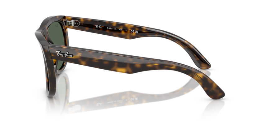 RBR0502S - WAYFARER REVERSE