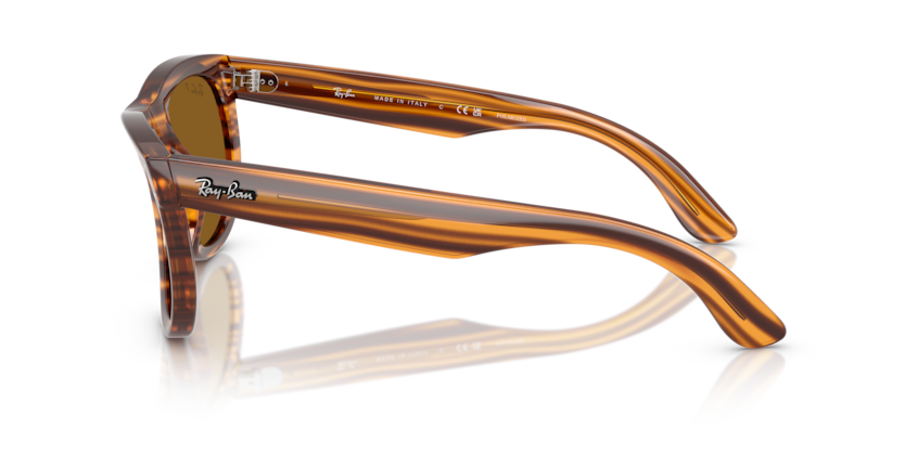 RBR0502S - WAYFARER REVERSE