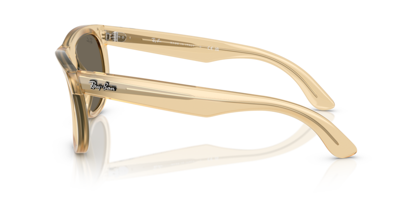 RBR0502S - WAYFARER REVERSE