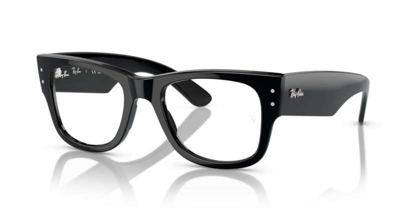 RX0840V - MEGA WAYFARER