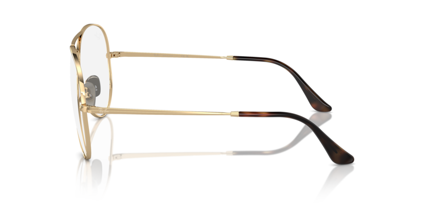RX8789 - AVIATOR TITANIUM