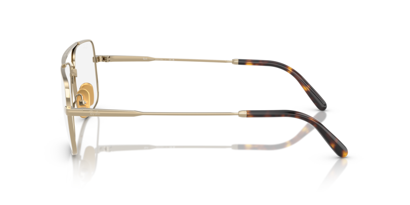 RX8797 - WILLIAM TITANIUM