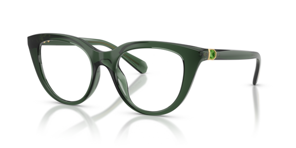 Swarovski SK2052 Eyeglasses | Select Eyewear