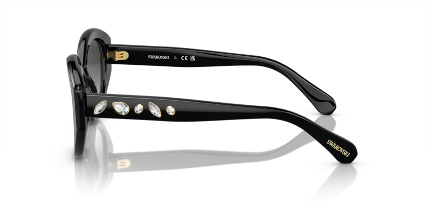 SK6005