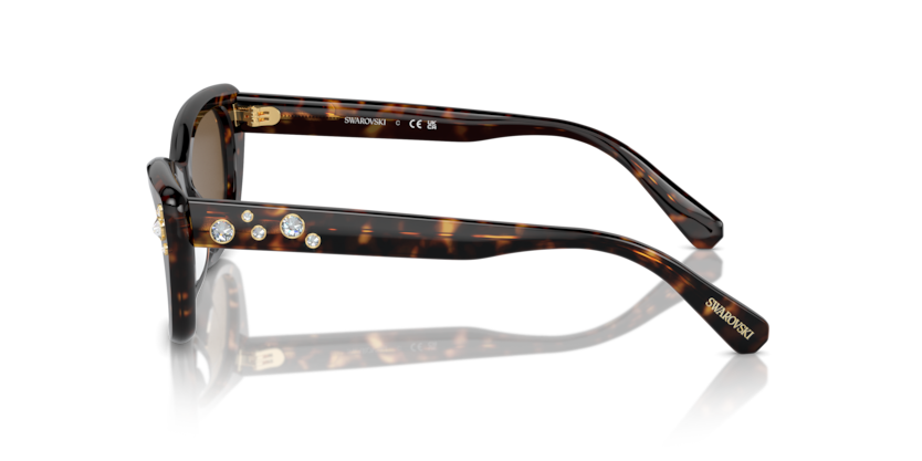 SK6019