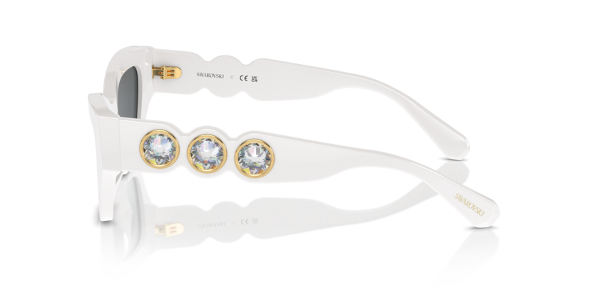 SK6021F