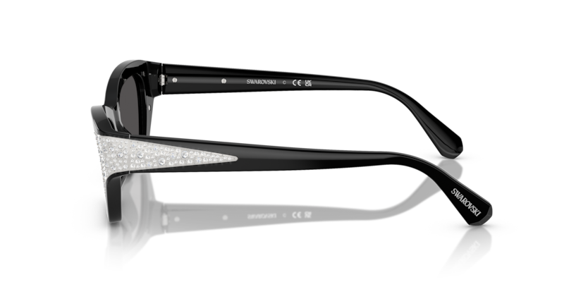 SK6029