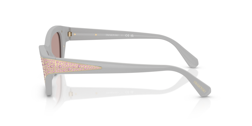 SK6029