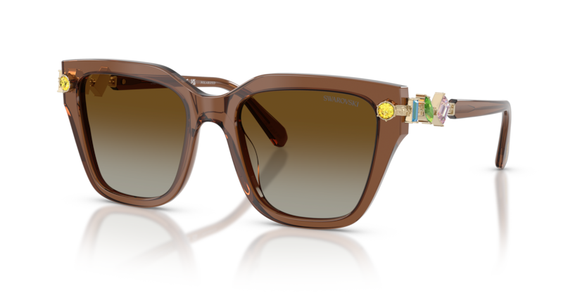Swarovski SK6041 Sunglasses | Select Eyewear