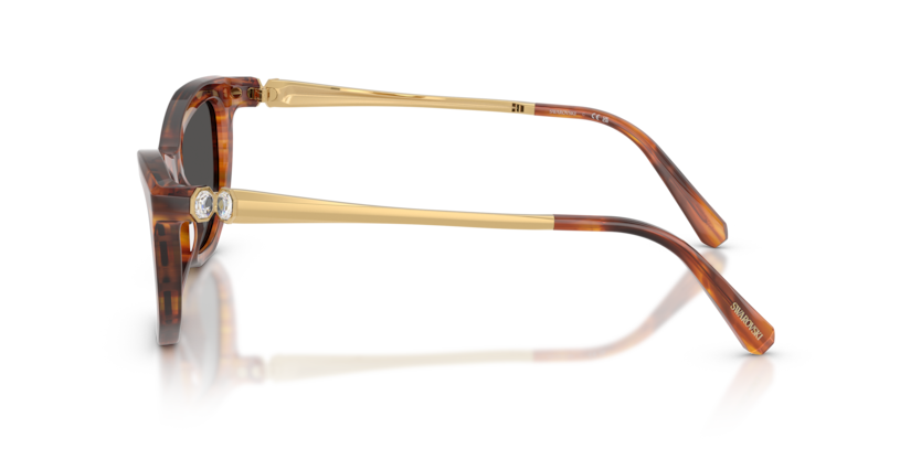 SK6057