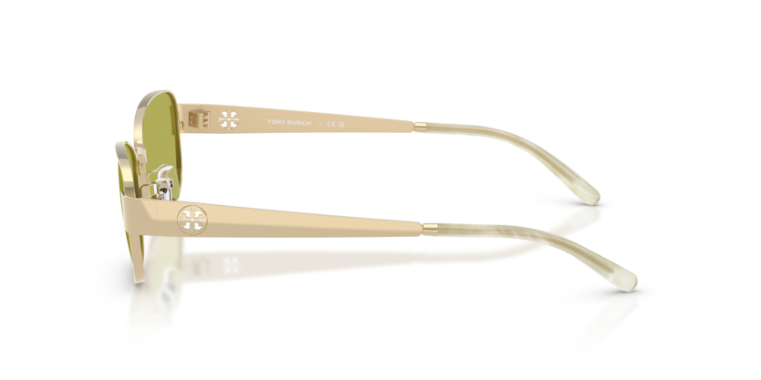 TY6119
