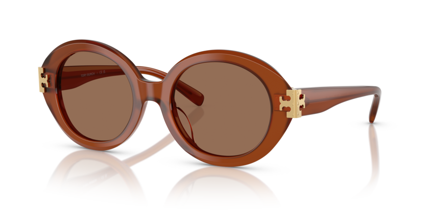 Tory Burch Brown Sunglasses Eleanor Cat-Eye Sunglasses: Women main image 4