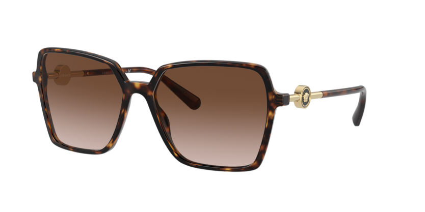 ヴェルちゃん Versace VE4396 Sunglasses | Select Eyewear