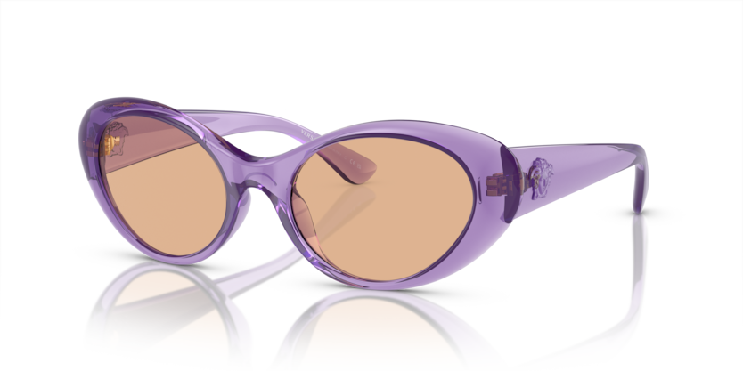 Versace VE4455U Sunglasses | Select Eyewear display picture 2
