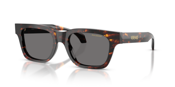Versace VE4486 Sunglasses | Select Eyewear display picture 3