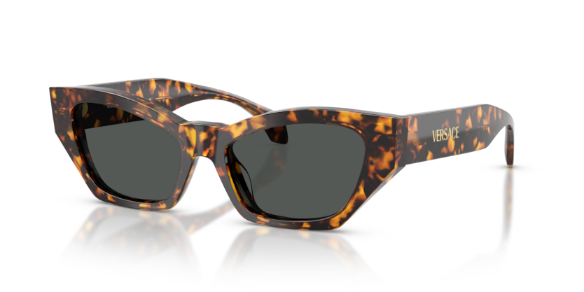 Versace VE4488U Sunglasses | Select Eyewear display picture 1