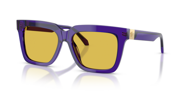 学法石川Vジャン Versace VE4498 Sunglasses | Select Eyewear