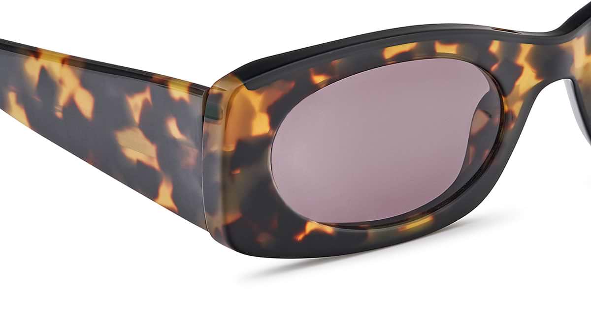 CALABASAS SUN