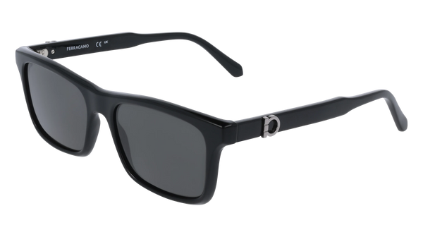 Ferragamo SF2060SE Sunglasses | Select Eyewear