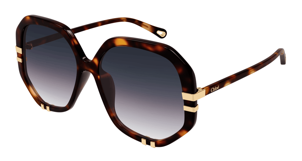 Chloe CH0105S Sunglasses | Select Eyewear display picture 2