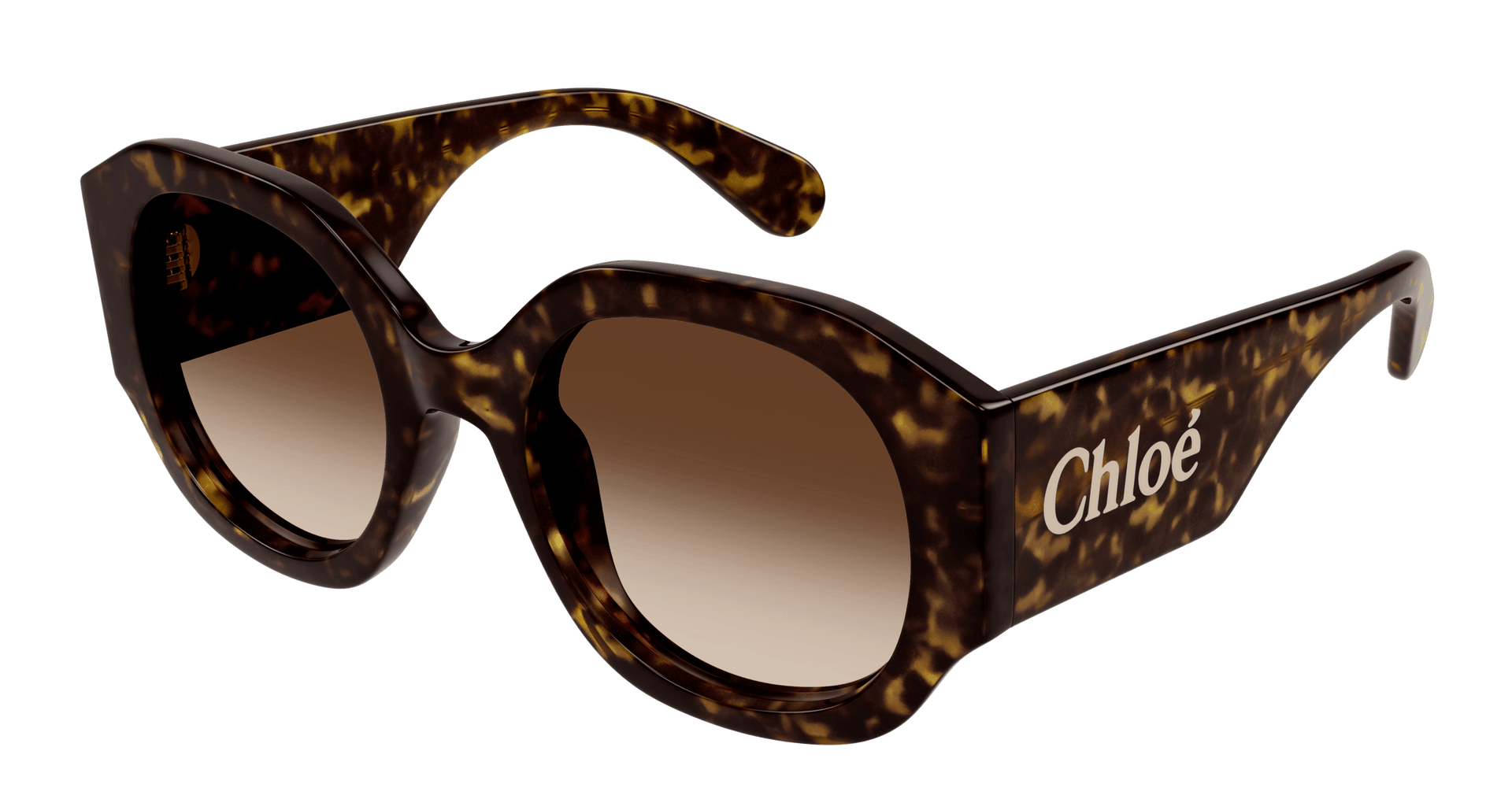 Chloe CH0234S Sunglasses | Select Eyewear